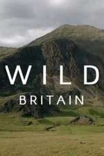 Watch Wild Britain 123MoviesFree