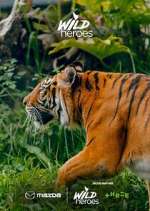 Watch Wild Heroes 123MoviesFree