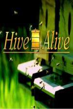 Watch Hive Alive 123MoviesFree