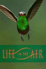 Watch Life in the Air 123MoviesFree
