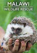 Watch Malawi Wildlife Rescue 123MoviesFree
