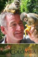 Watch Wild Colombia with Nigel Marven 123MoviesFree