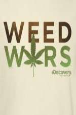Watch Weed Wars 123MoviesFree