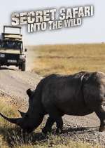 Watch Secret Safari: Into the Wild 123MoviesFree
