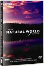 Watch The Natural World 123MoviesFree