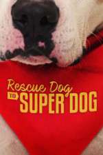 Watch Rescue Dog to Super Dog (US) 123MoviesFree