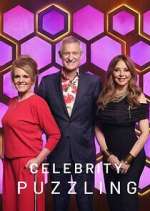 celebrity puzzling season 2 episode 13 tv poster