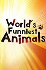 Watch The World\'s Funniest Animals 123MoviesFree