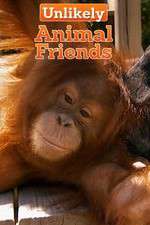 Watch Unlikely Animal Friends 123MoviesFree