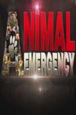 Watch Animal Emergency 123MoviesFree