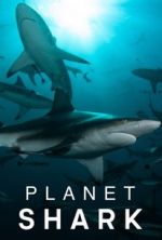 Watch Planet Shark 123MoviesFree