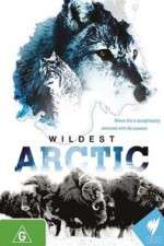 Watch Wildest Arctic 123MoviesFree