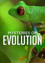 Watch Mysteries of Evolution 123MoviesFree