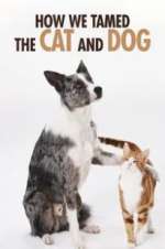 Watch How We Tamed the Cat and Dog 123MoviesFree