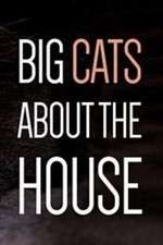 Watch Big Cats About the House 123MoviesFree