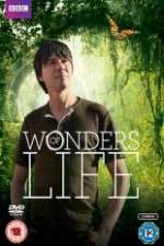 Watch Wonders Of Life 123MoviesFree