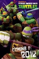 Watch Teenage Mutant Ninja Turtles 123MoviesFree