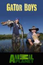 Watch Gator Boys 123MoviesFree