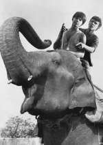 Watch Maya 123MoviesFree