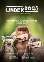 Watch Underdogs 123MoviesFree