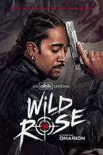 wild rose season 1 episode 1 tv poster