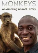 Watch Monkeys: An Amazing Animal Family 123MoviesFree