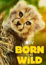 Watch Born to Be Wild 123MoviesFree