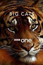 Watch Big Cats 123MoviesFree