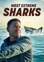 Watch Most Extreme Sharks 123MoviesFree