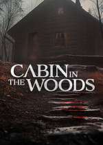 Watch Cabin in the Woods 123MoviesFree