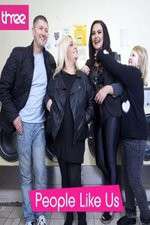 Watch People Like Us 123MoviesFree