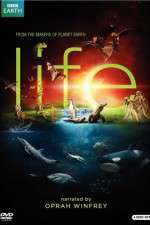Watch Life 123MoviesFree