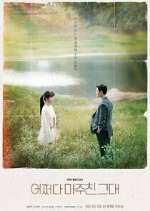 Watch Met You By Chance 123MoviesFree