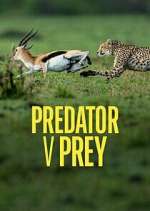 Watch Predator v Prey 123MoviesFree