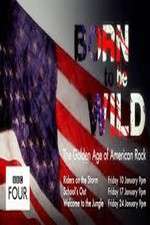 Watch Born to Be Wild: The Golden Age of American Rock 123MoviesFree