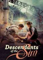 Watch Descendants of the Sun 123MoviesFree