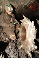 Watch Coal 123MoviesFree