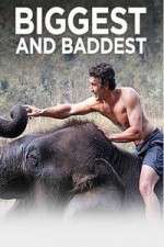 Watch Biggest and Baddest 123MoviesFree