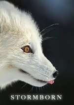 Watch Stormborn 123MoviesFree