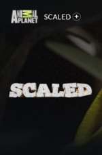 Watch Scaled 123MoviesFree