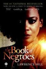 Watch The Book of Negroes 123MoviesFree