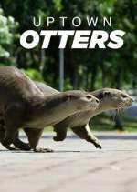 Watch Uptown Otters 123MoviesFree