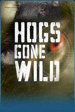 Watch Hogs Gone Wild 123MoviesFree