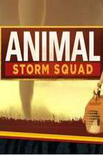 Watch Animal Storm Squad 123MoviesFree