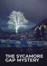 Watch The Sycamore Gap Tree Mystery 123MoviesFree