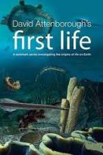 Watch David Attenborough's First Life 123MoviesFree