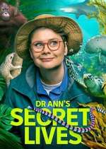 Watch Dr Ann\'s Secret Lives 123MoviesFree